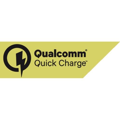 Caricabatteria 1 porta Usb - Qualcomm Quick Charge - 3000 mA - 12/24V