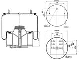 Molla aria completa con pistone in metallo Firestone per assali BPW Cod. : M588602