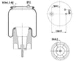 Molla aria anteriore Firestone per Scania R