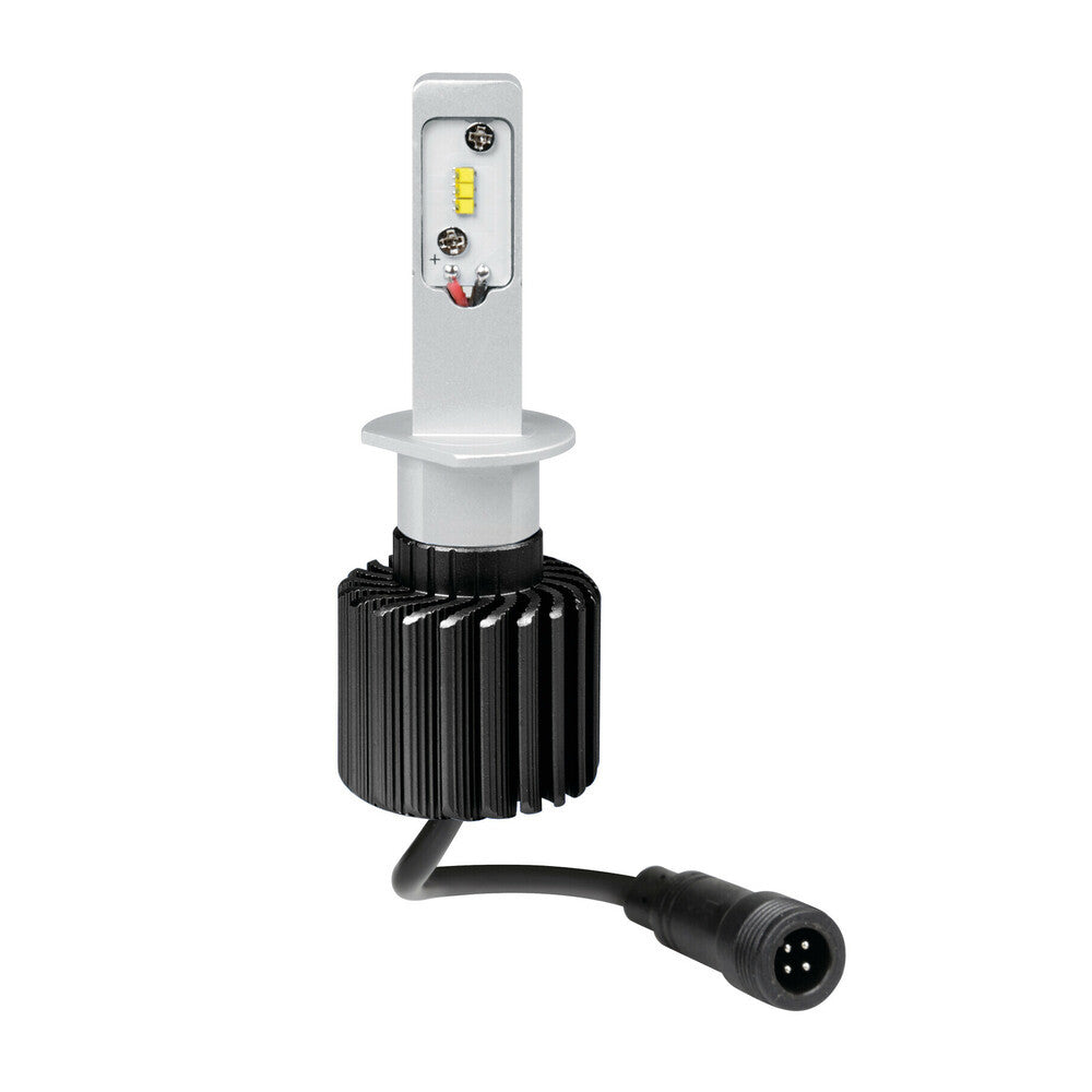 10-30V Halo Led - (H1) - 12W - P14,5s - 1 pz - D/Blister