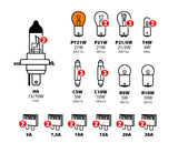 Kit lampade di ricambio 30 pz, alogena 2xH4 - 24V