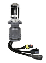 12/24V Lampadina HID Xenon 5.000K - H4 - 1 pz - Scatola